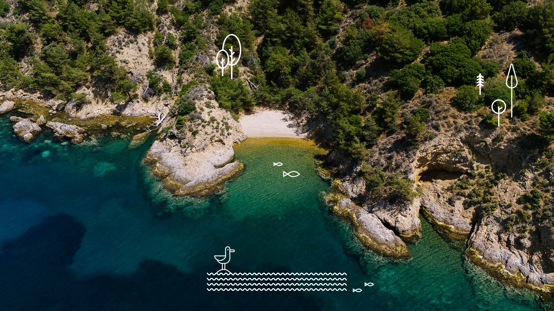 Aerial view of Vulos beach in Thassos with emerald waters and green hills surrounding the bay Discover Thassos