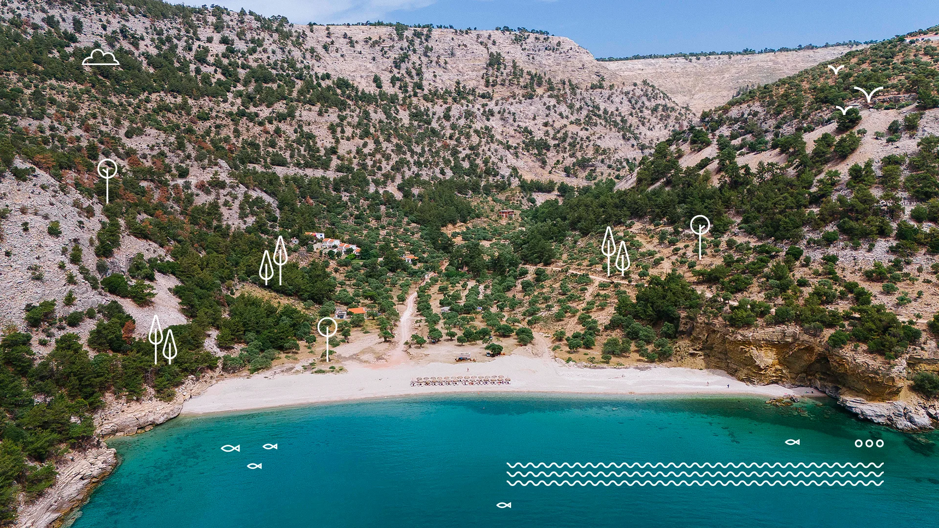 Livadi Beach in Thassos surrounded by mountains. Graphic elements of trees and fish illustrate the image