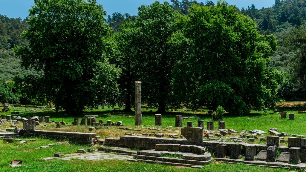 Agora Tree Ancient Agora Thassos | Discover Thassos